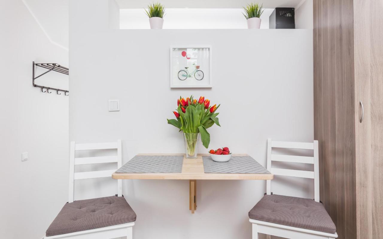 Apartment Flower Krakau